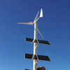 L-type 2kW manufacturer’s specialized horizontal axis for wind energy motors with gentle breeze start for household street lamps