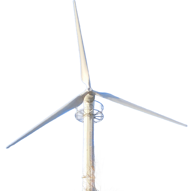 75kW Three bladed Permanent Magnet Direct Drive Small and Medium sized Wind Turbine Manufacturer Horizontal Axis Yaw