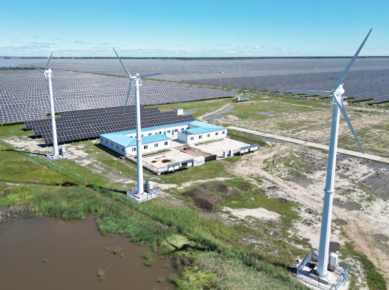 Single Machine 30 KW And 50 KW Wind Power Grid Connected - Spain